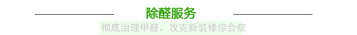 高洁雅除甲醛
